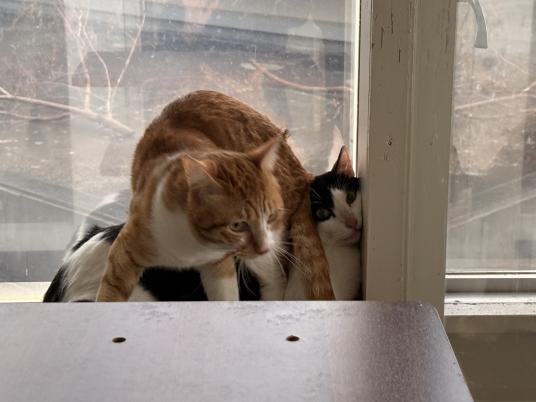 3枚目写真
