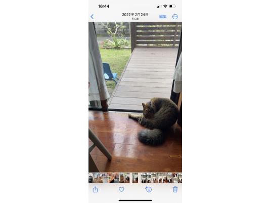 4枚目写真