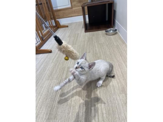 4枚目写真