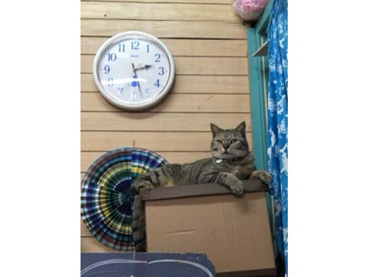 4枚目写真