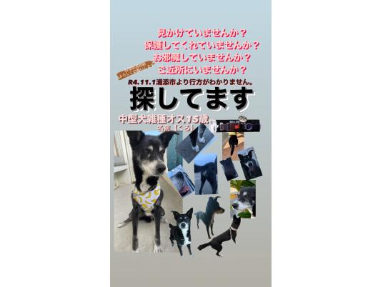 4枚目写真
