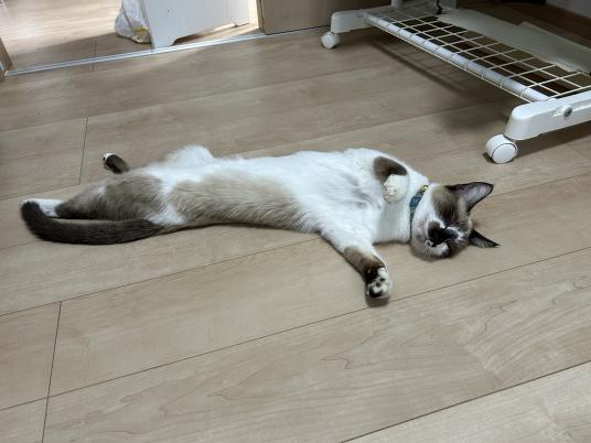 4枚目写真
