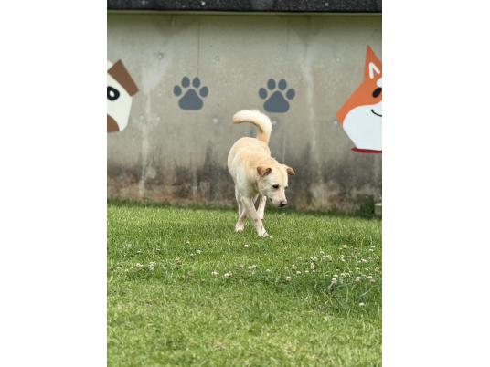 4枚目写真