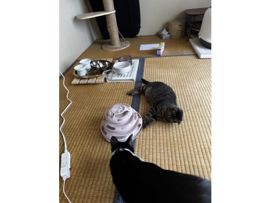 4枚目写真