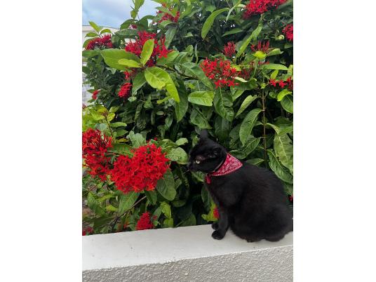 4枚目写真