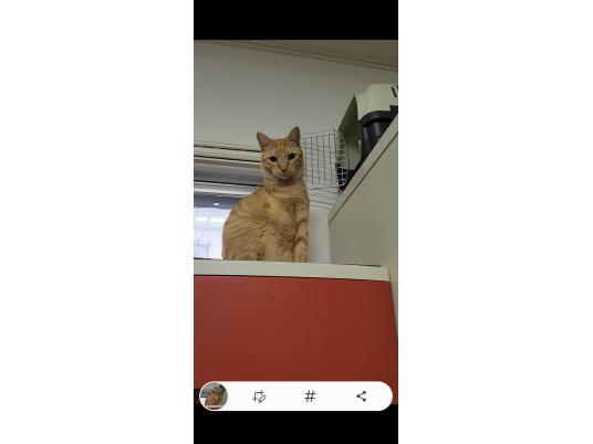 4枚目写真