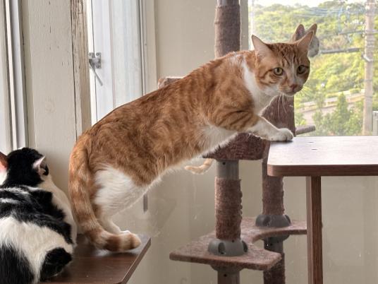 4枚目写真